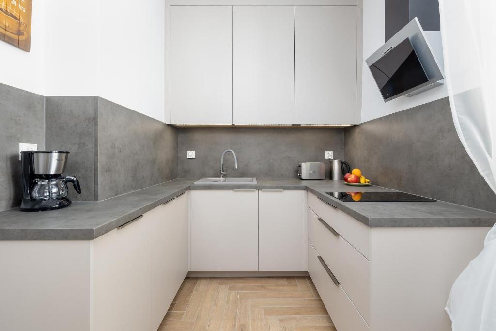 Słoneczny i Przestronny Apartament w Sercu Szczecina by Noclegi Renters photo 3