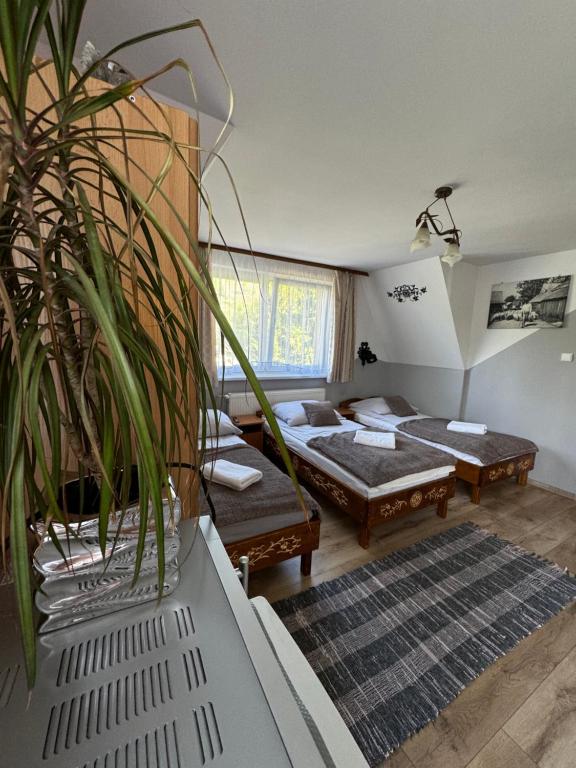 Pokoje i Apartamenty Regionalny Styl ul Króle 1a Zakopane photo 2