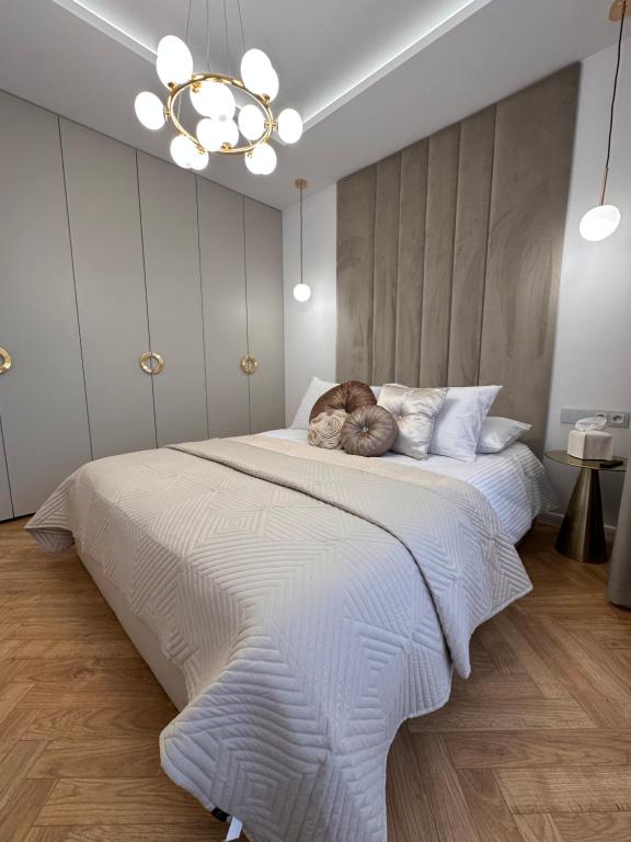 Taupe II Wyjątkowy Apartament w centrum Łodzi photo 2