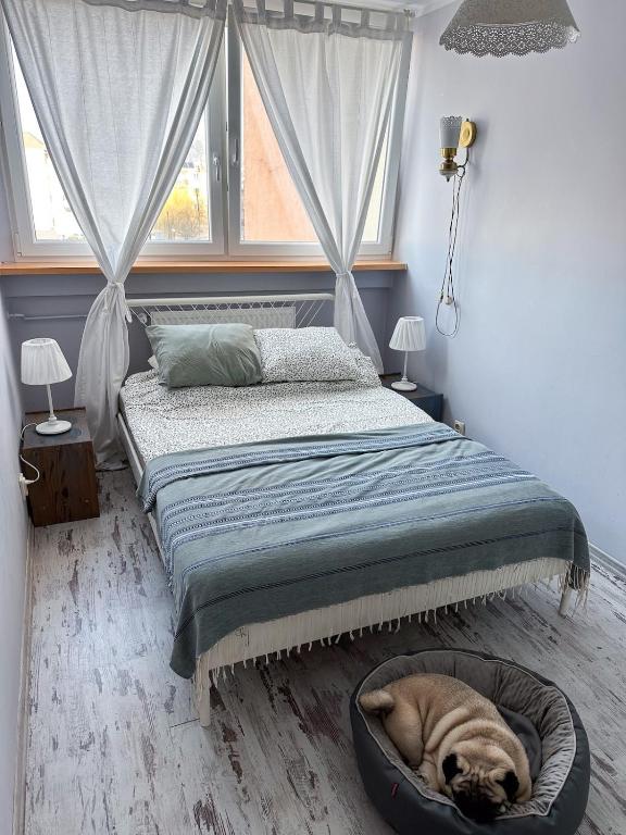 Słoneczny apartament w Kudowie Zdrój photo 2