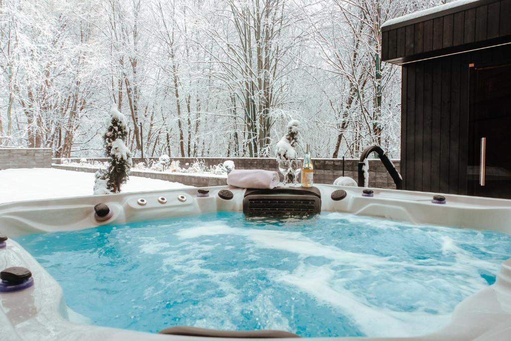Rezydencja Harmony Land VIP z sauną i jacuzzi by Royal Aparts — photo 1