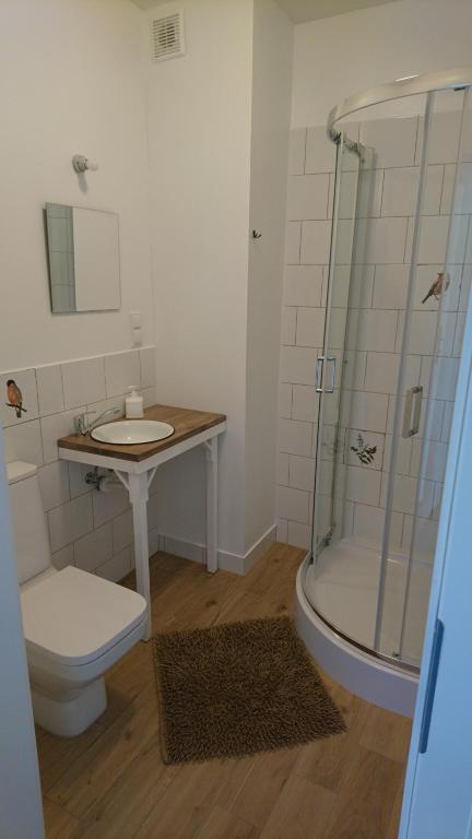 WidziMiSie photo 3