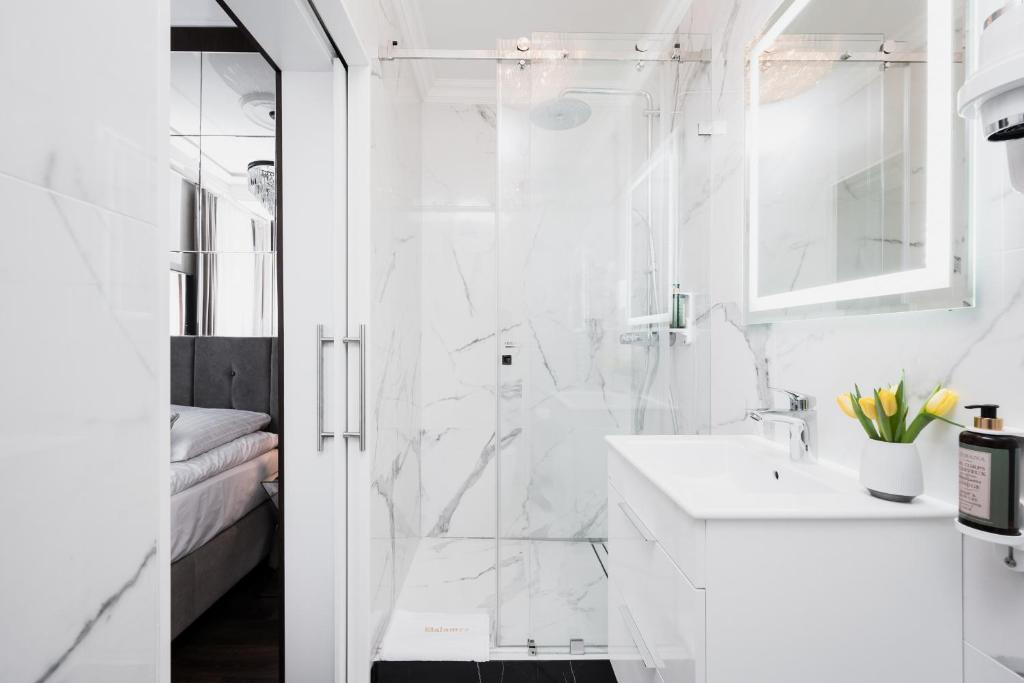 Salomea Krakow apartments photo 3