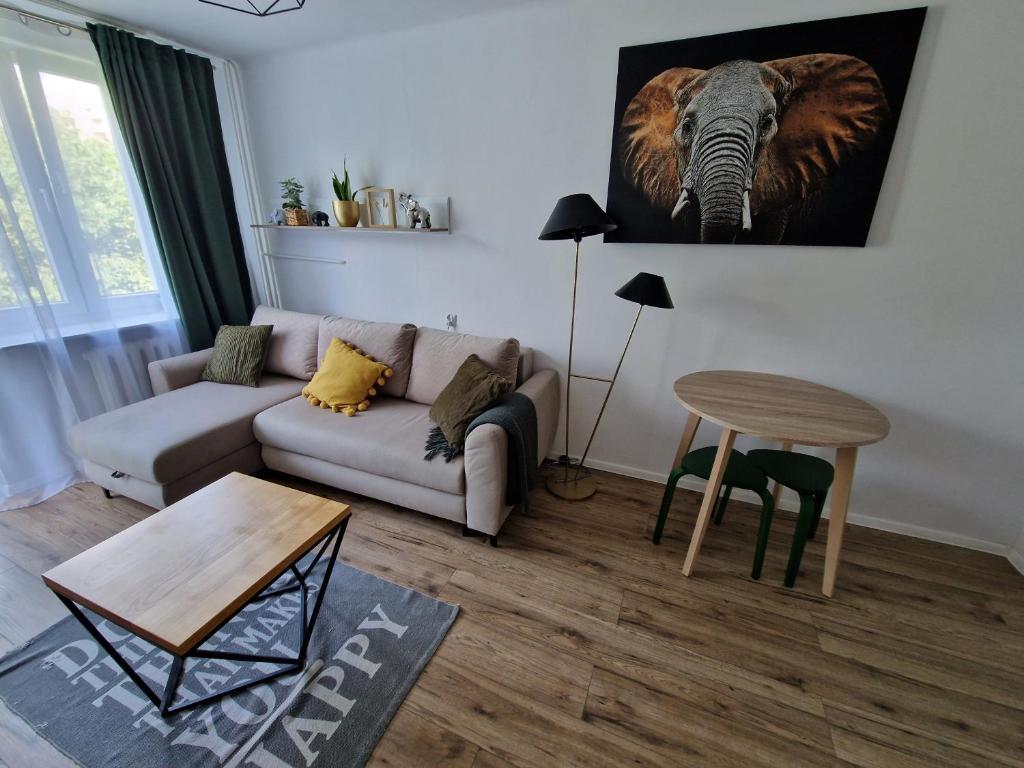 Sienkiewicza apartament MULTI HOUSE — photo 1