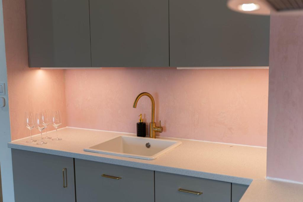 Złote Krany Apartament Termalny photo 3