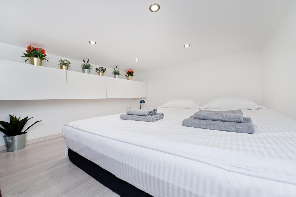 Dietla 99 - Studio by Homeprime photo 2