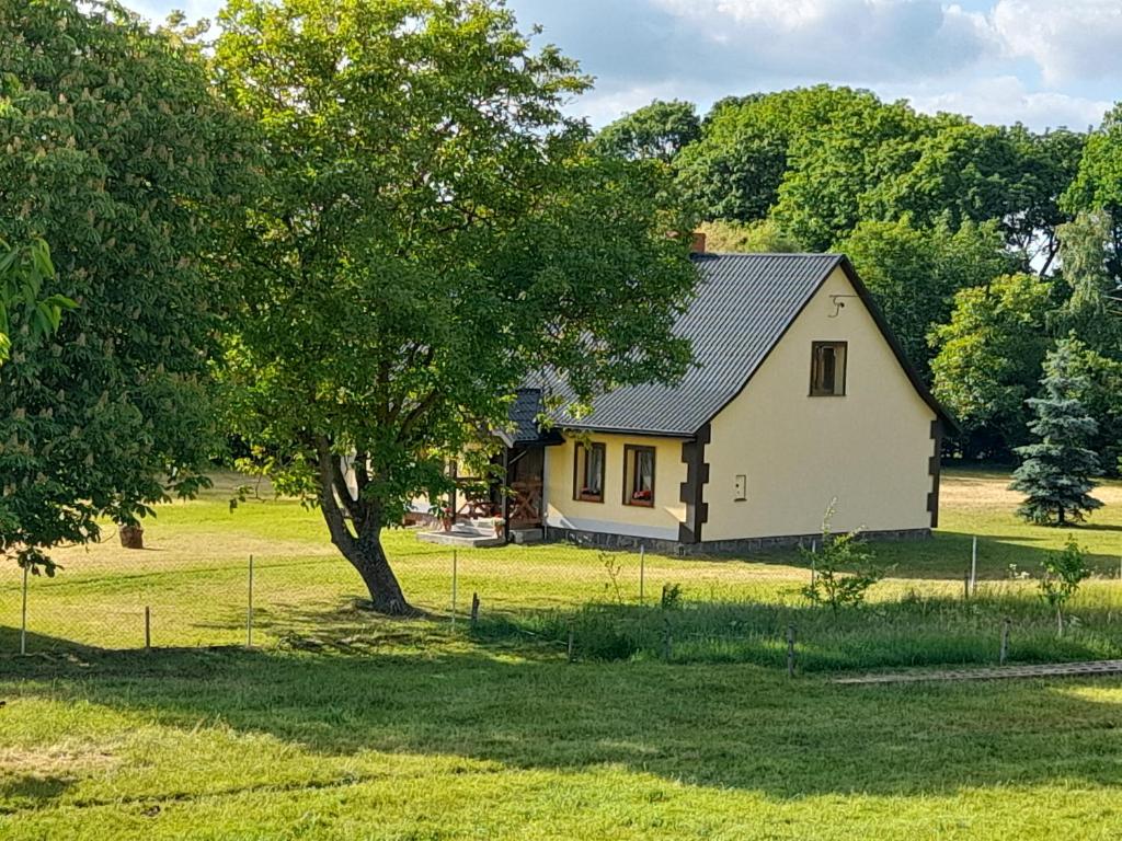 PRZYSTANEK nowEKOprzywno - Żółty Domek Pod Kasztanem — photo 1