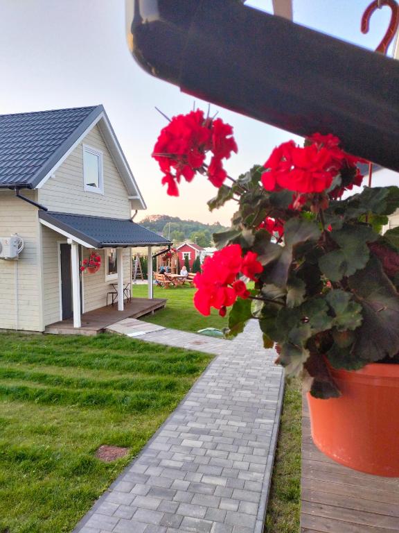 Domki 7 Houses Rewal photo 3
