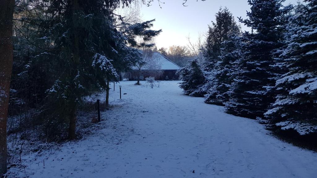"Grzesiówka" — photo 1