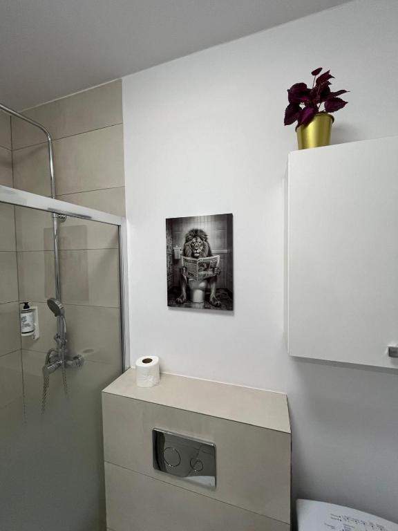 Targowa Charming Studio photo 3