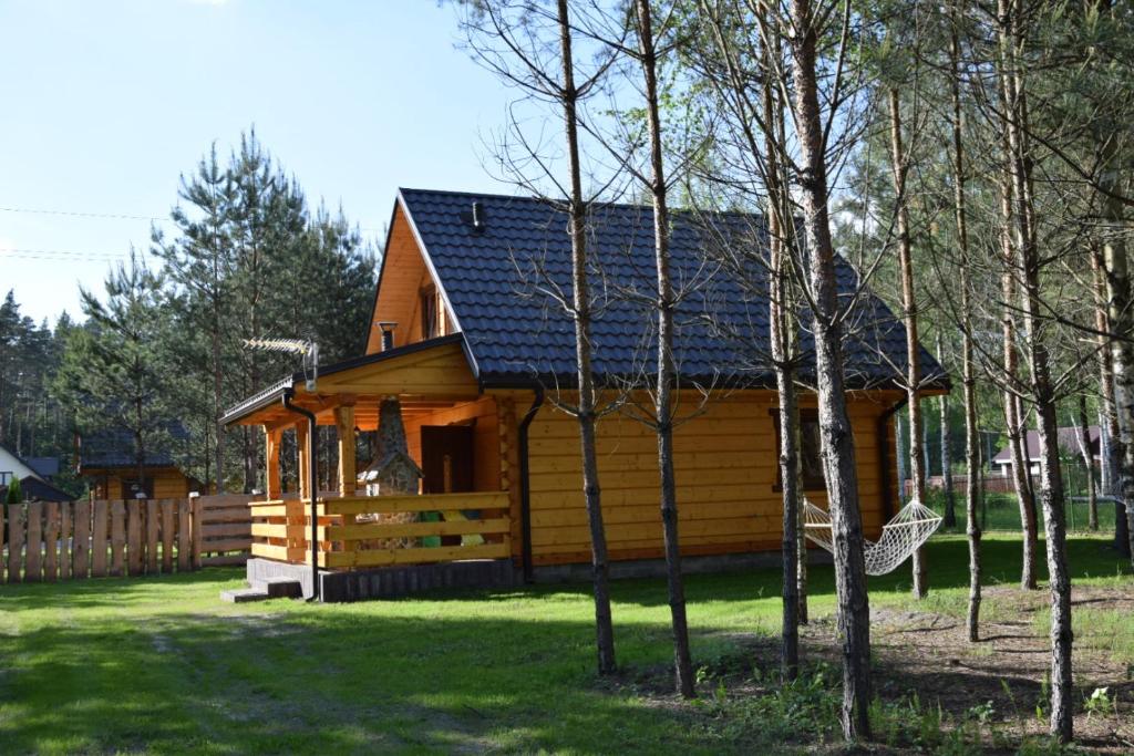 Zacisze Leśne- Domek do wynajęcia — photo 1