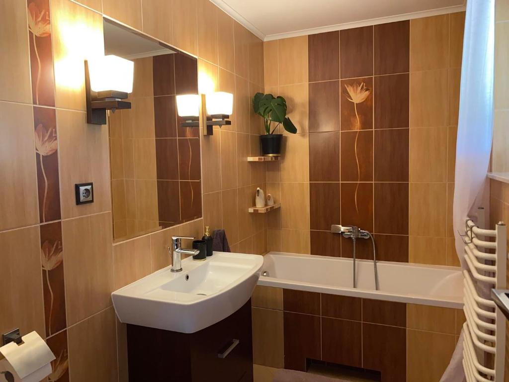 Zielone Tarasy na Kaszubach photo 3