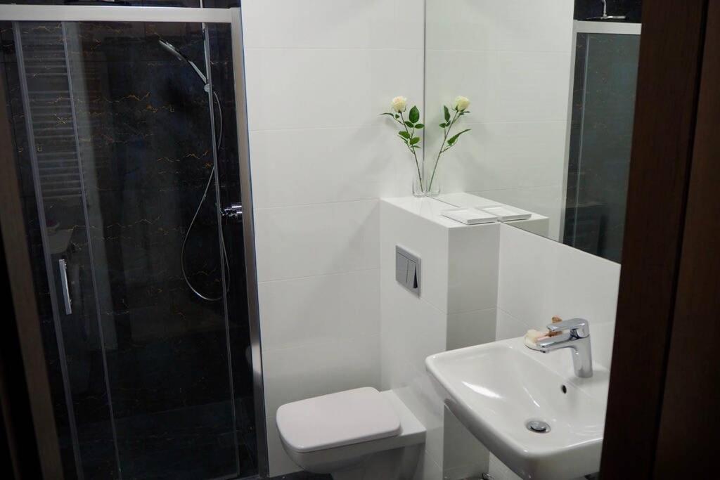 Studio Nr 4 close to Medicover and Paley Institute photo 3