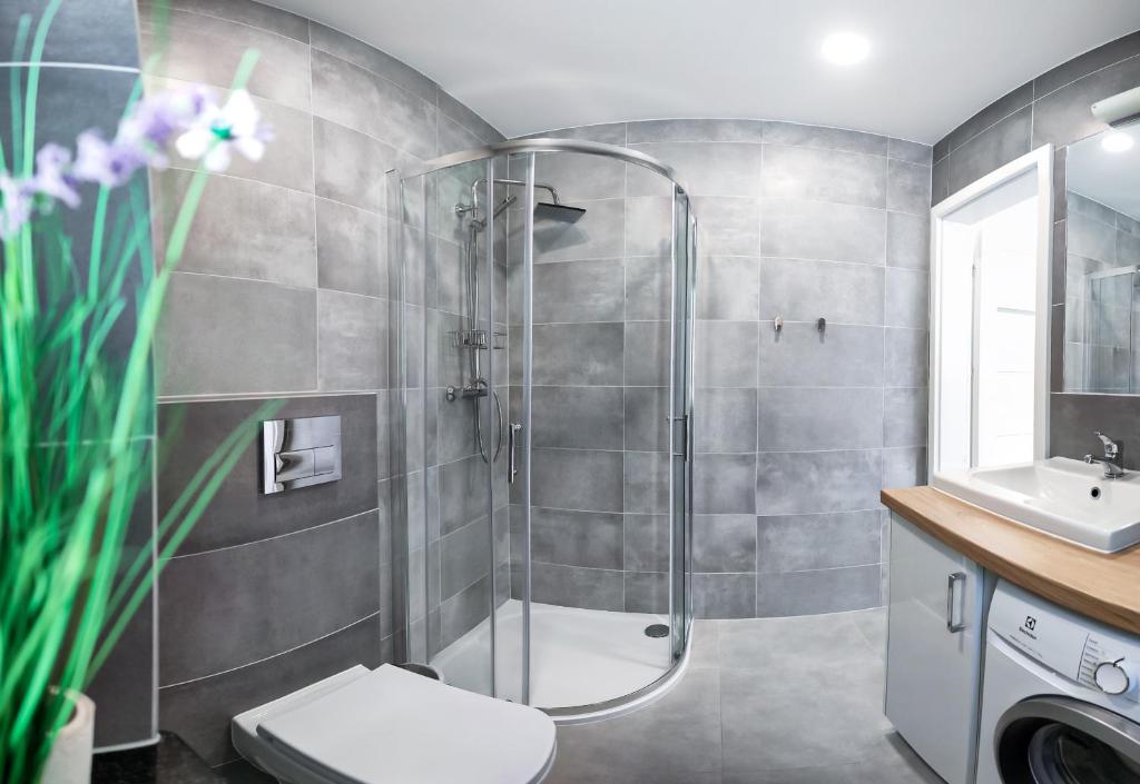 Wilk Zając domki Apartamenty photo 3