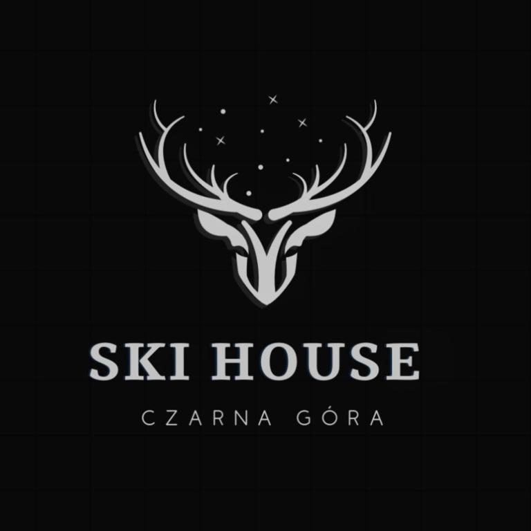 Ski House Czarna Góra- apartament 50m od stoku narciarskiego — photo 1