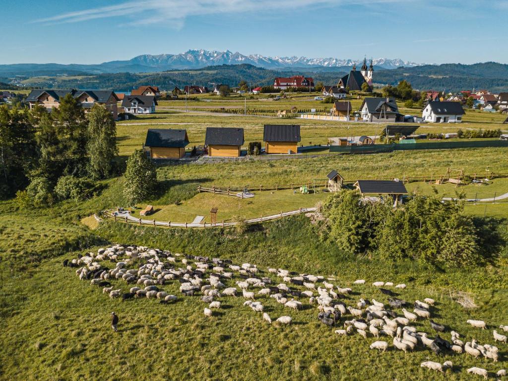 Zaciszne Domki w Kluszkowcach z Sauną i Balią photo 3