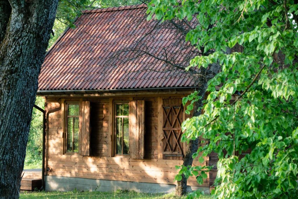 Siedlisko Szaciłówka - Domek Lipowy — photo 1