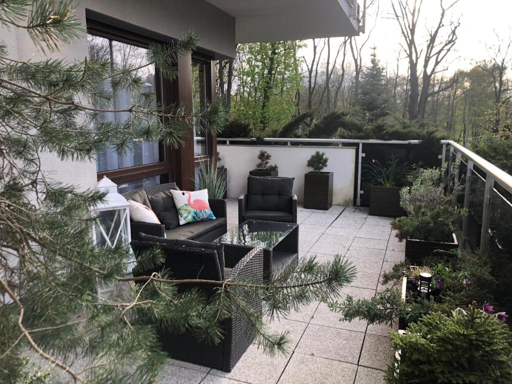 Solankowe Zacisze Botanica Inowrocław — photo 1