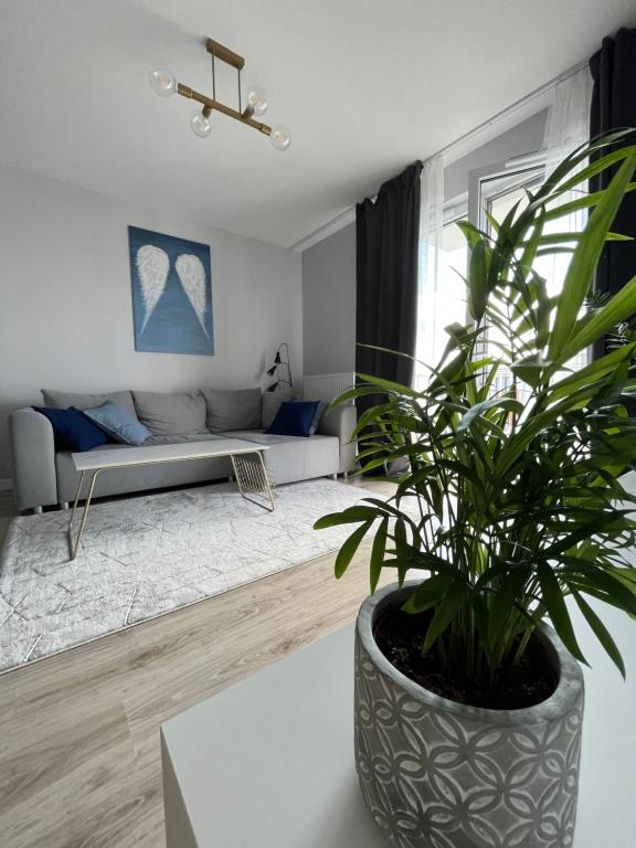 Życzliwa Apartment — photo 1