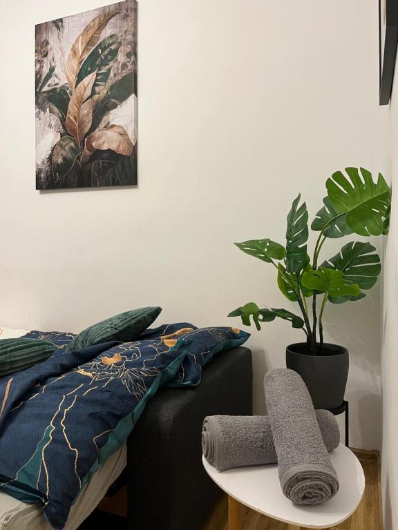 Słoneczny apartament na Żoliborzu dla 2 osób przy Arkadii photo 2