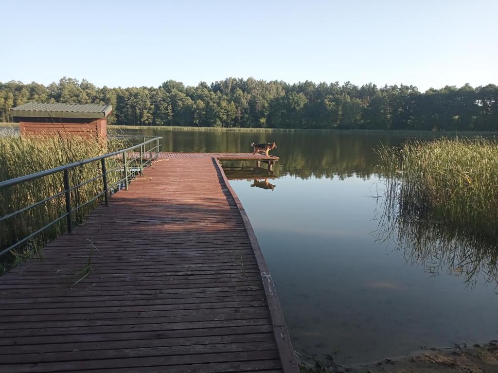 Zalesie z pomostem I — photo 1