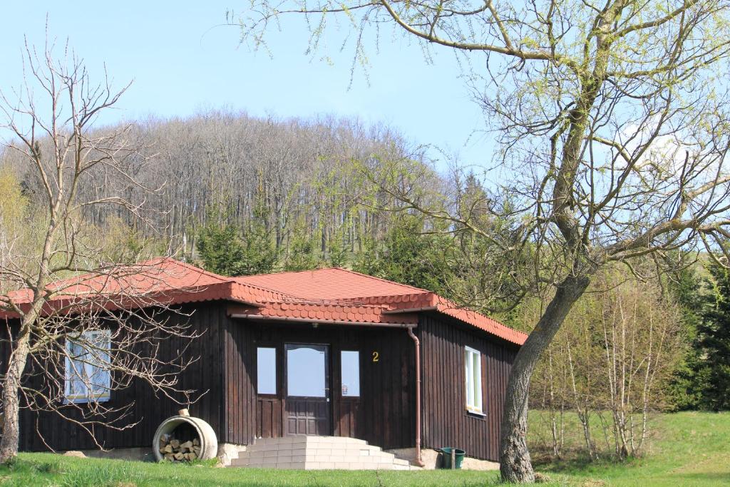 Szałas Muflon - Mufflonhütte — photo 1