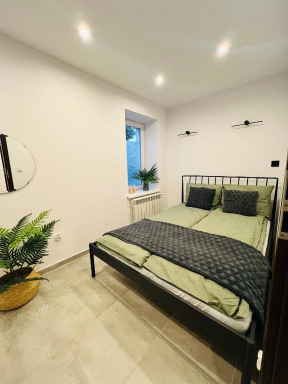 Różana City Apartaments photo 2