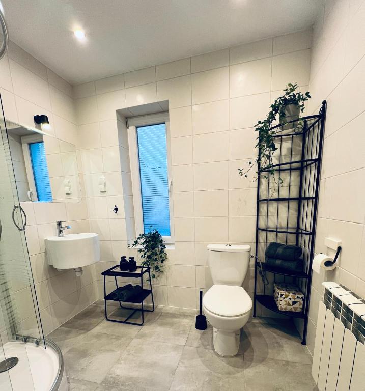 Różana City Apartaments photo 3
