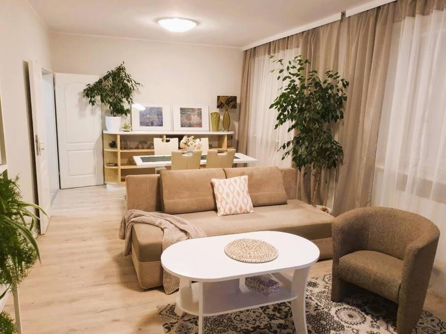 Zielony apartament. — photo 1