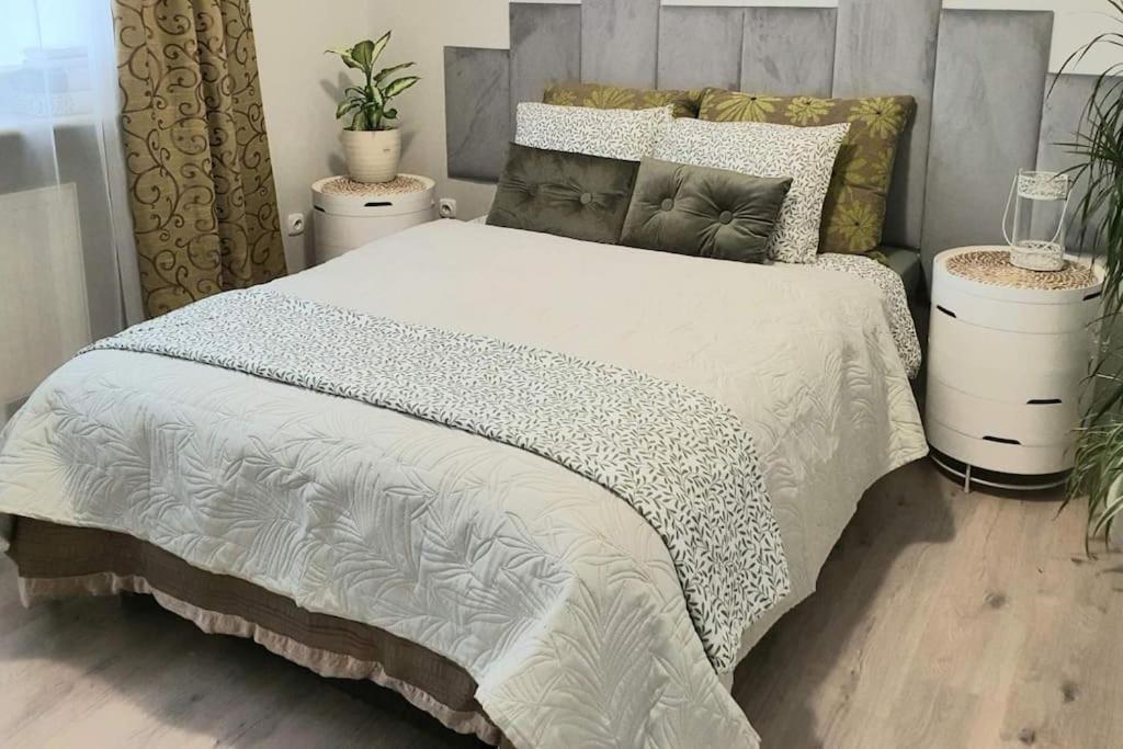 Zielony apartament. photo 2