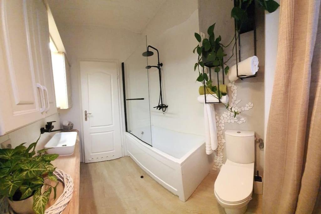 Zielony apartament. photo 3