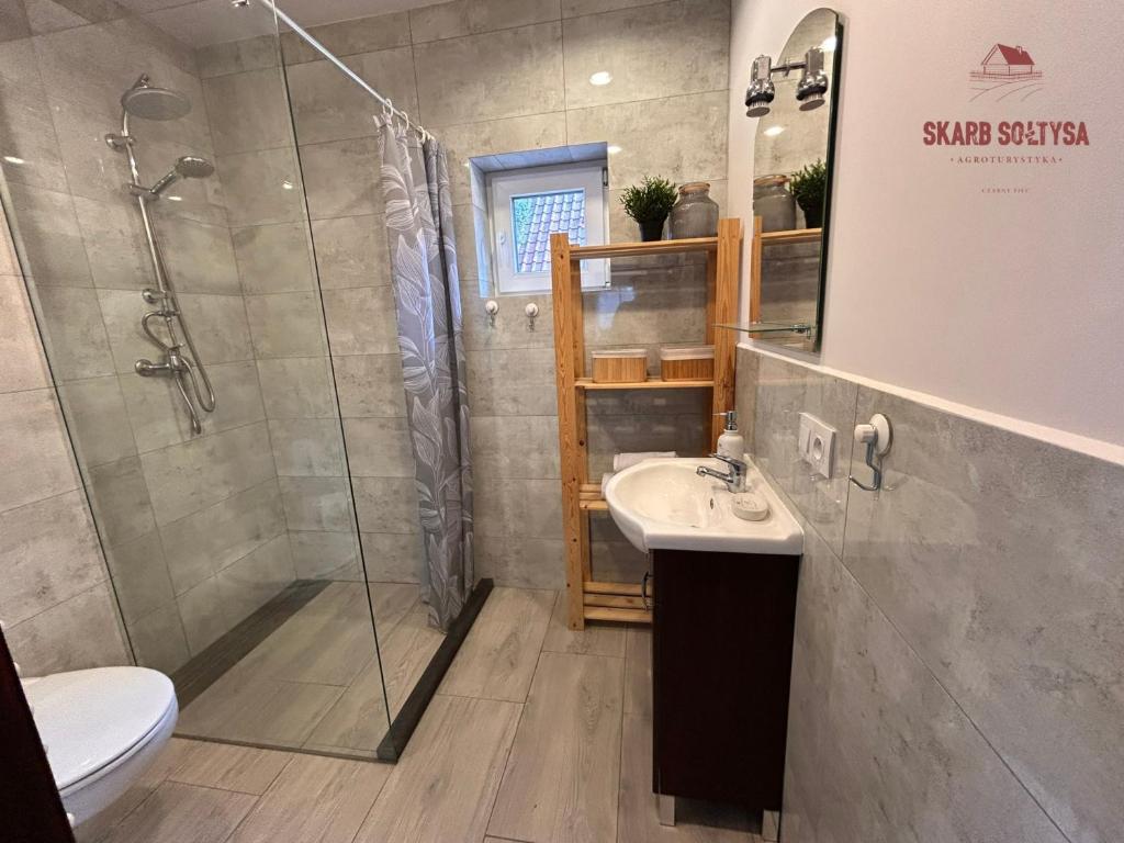 Skarb Sołtysa - apartament z widokiem photo 3