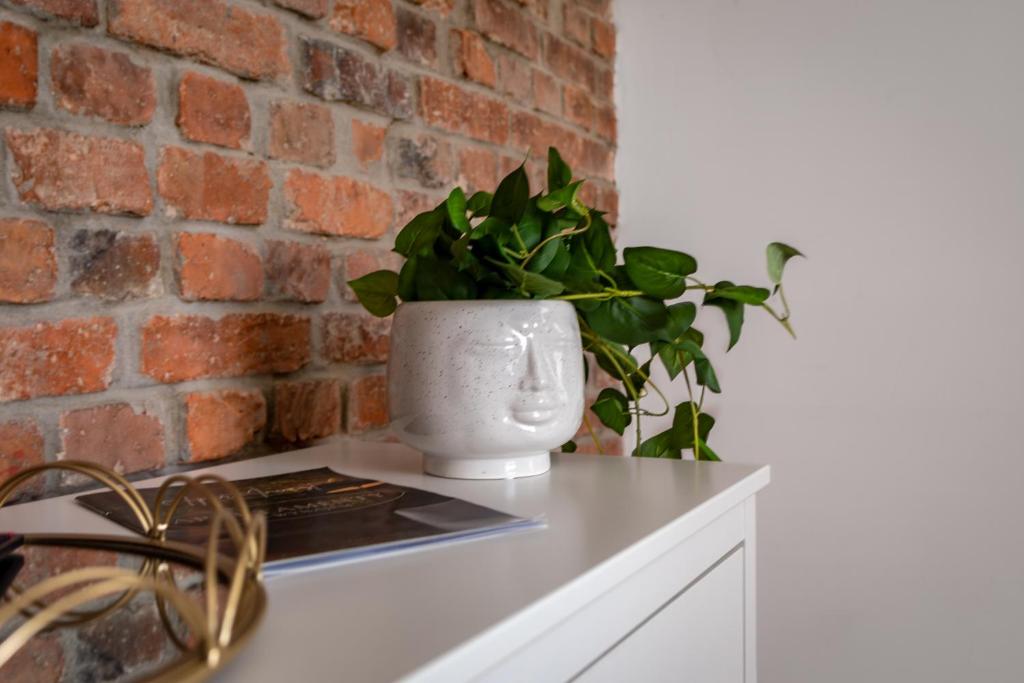 Apart-Invest Apartament Skandynawski photo 3