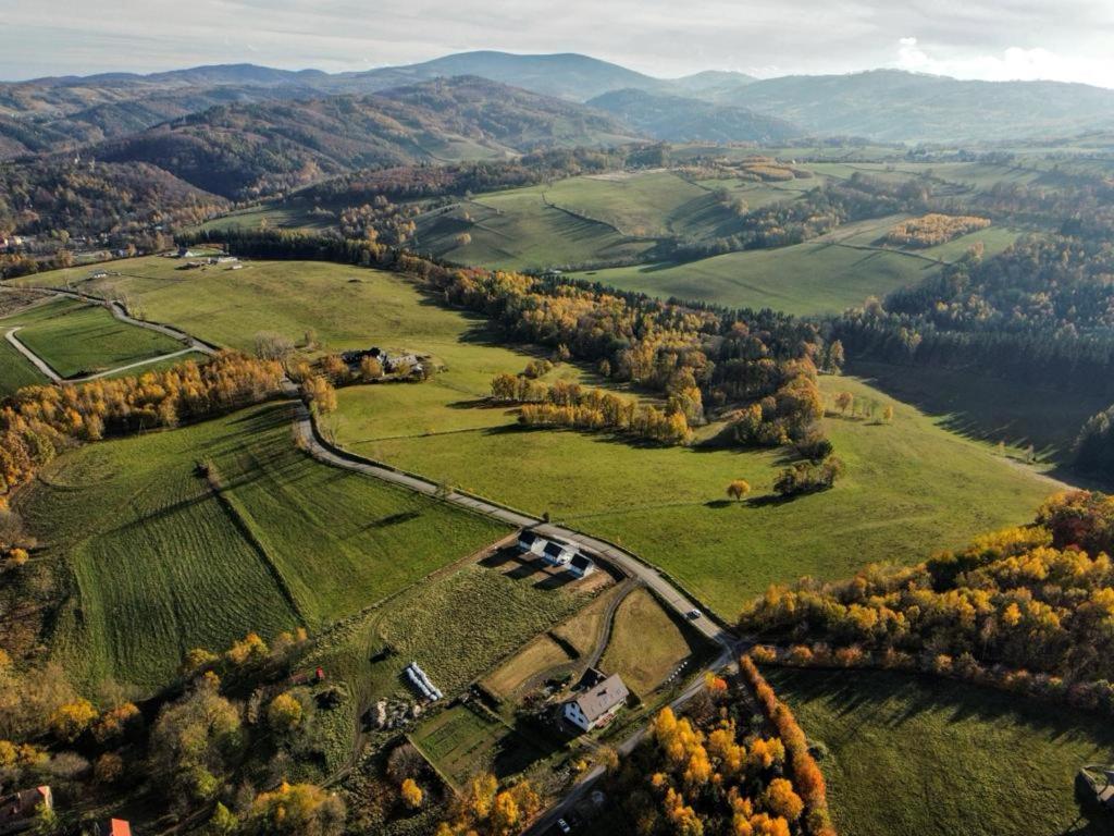 Sosnowe Wzgórze - Wypoczynek w Zagórzu Śląskim 1 — photo 1