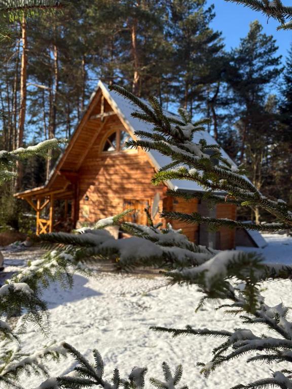 Smerekowiec Domek w lesie - Beskid Niski — photo 1