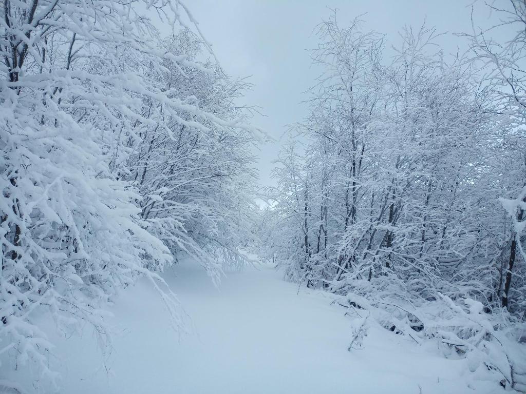 Sowiogórska Ostoja photo 3