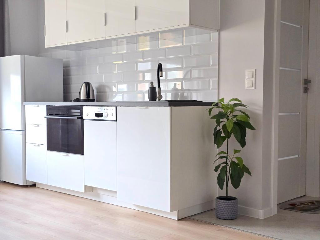 Apartment Eleven Long Gardens Old Town City Center — photo 1