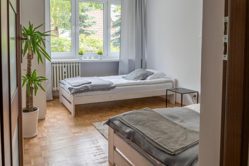 Nest Comfort Toruń photo 2