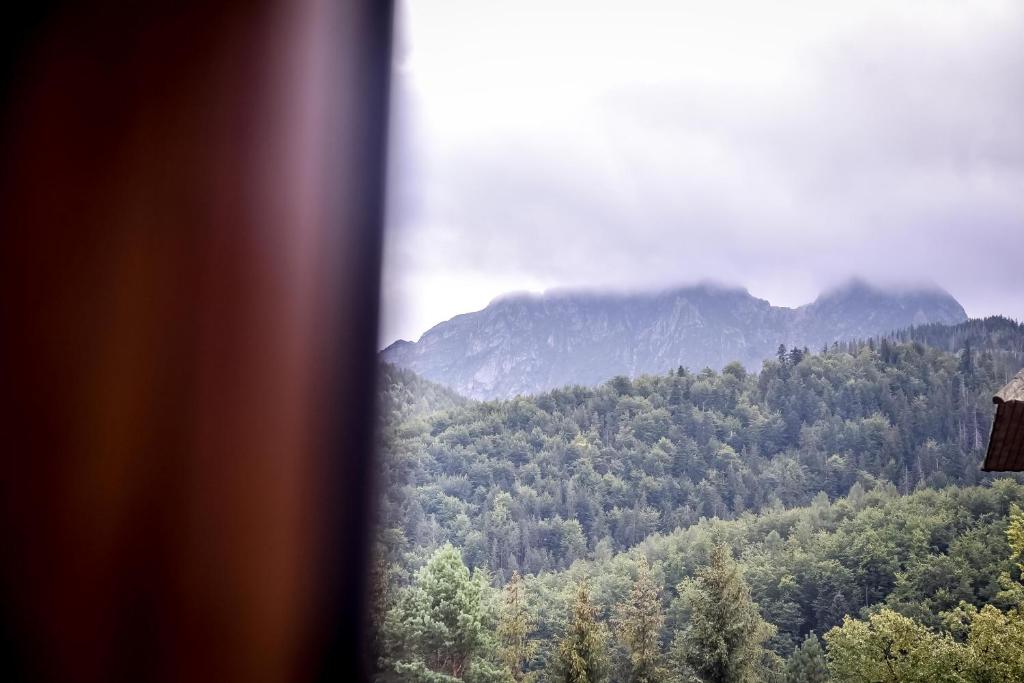 My Tatra Residence photo 3