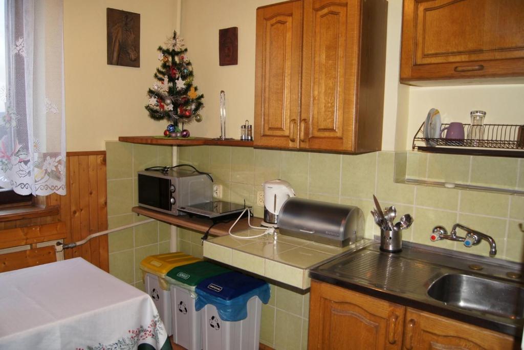 Róża photo 3