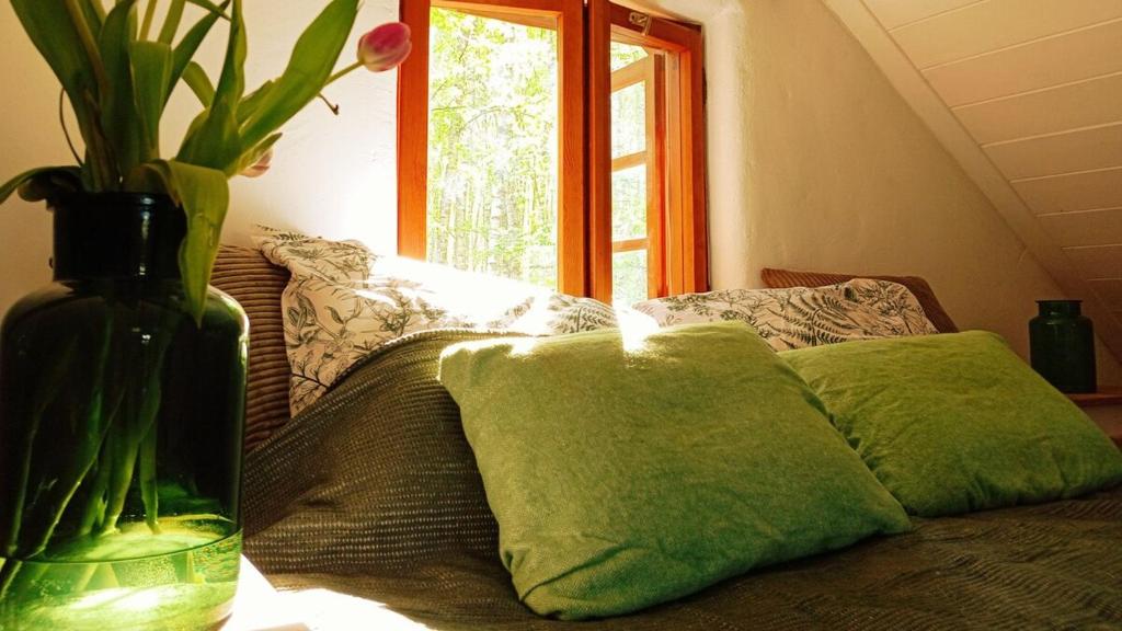 Siedlisko MiłoBrzózka photo 2