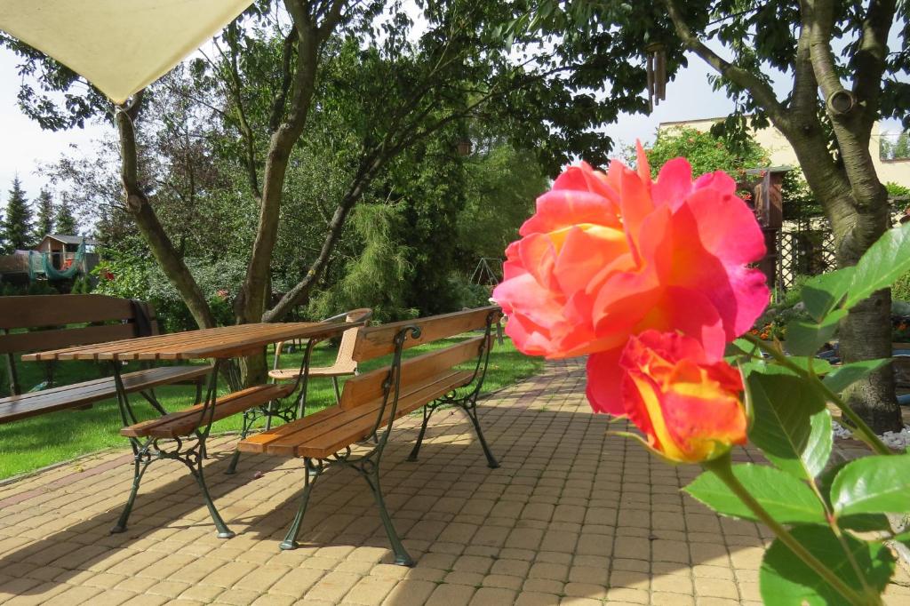 POKOJE GOŚCINNE LIBER photo 3
