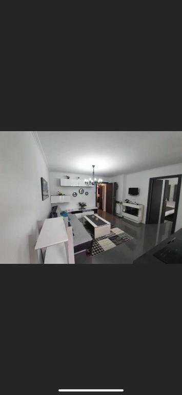 Tadeo — photo 1