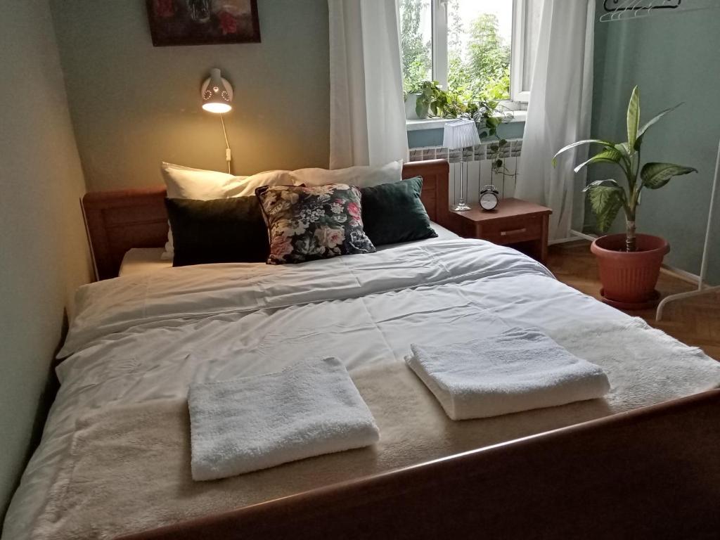 K2 apartment — photo 1