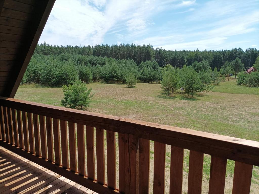 Sosnówka — photo 1