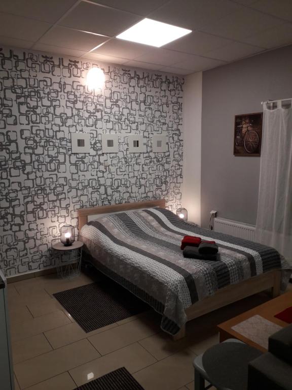 Samodzielny domek Studio - 35m2 centrum Ciechanów — photo 1