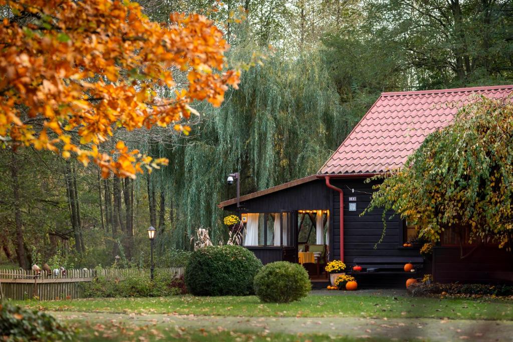 Zacisze nad Sanną — photo 1