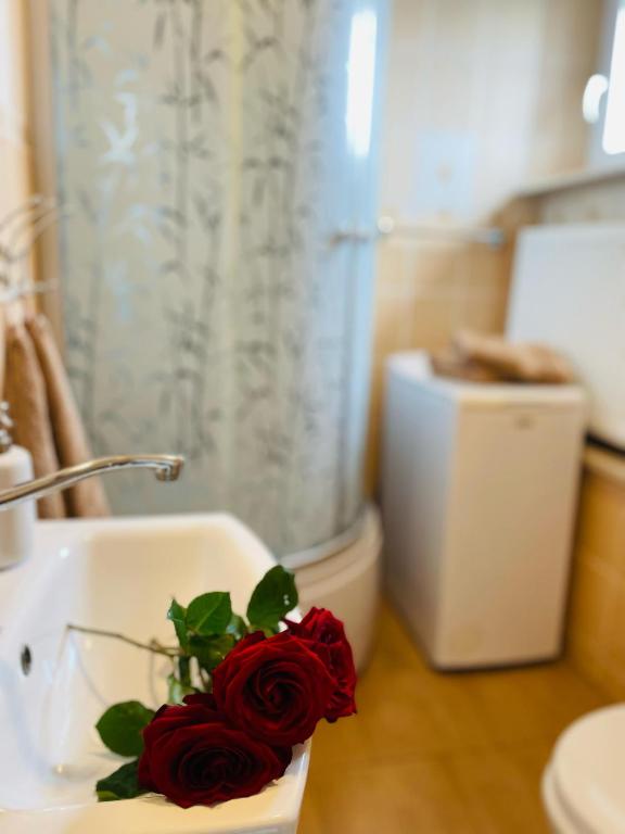 Zielone Kaszuby - agroturystyka z jacuzzi photo 3