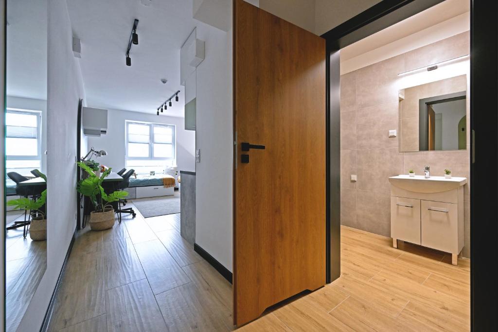 Zeus Apartments Economy photo 3