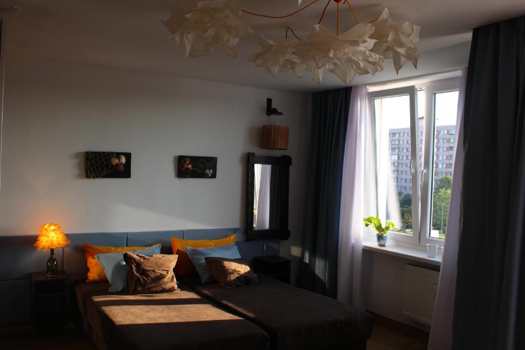 Studio Chodecka photo 3